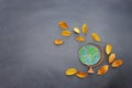 Back to school concept. Top view banner of globe with autumn dry leaves over classroom blackboard background Royalty Free Stock Photo