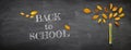 Back to school concept. Top view banner of pencils next to tree sketch with autumn dry leaves over classroom blackboard background