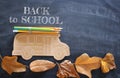 Back to school concept. Top view image of school bus and pencils over autumn dry leaves classroom blackboard background.