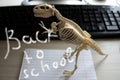 Back to school concept. Tyrannosaurus skeleton photography.