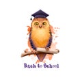 Back to school digital art illustration. Beginning of studying year event. Hand drawn wise owl sitting on branch with paper scroll