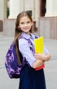 Back to school. Education concept. Cute smiling schoolgirl preteen on the way to the school. Happy little girl child holding the