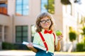 Back to school. Funny little boy in glasses at school. Child from elementary school with book and bag. Education child. Royalty Free Stock Photo