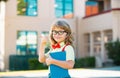 Back to school. Funny little boy in glasses at school. Child from elementary school with book and bag. Education child. Royalty Free Stock Photo