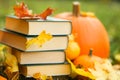 Back to school.Halloween Books.Study and education concept. stack of books,maple leaves and pumpkins in autumn garden Royalty Free Stock Photo