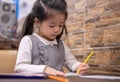 Back to school. Happy smiling pupil drawing at the desk. Cute little preschooler child drawing at home. Kid girl drawing with penc