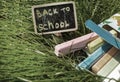 Back to school, the inscription on the mini-Board, the layout of the Board and chalk on the green grass, the concept of Royalty Free Stock Photo