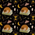 Back to school mystery pattern design. Dark Academia seamless print. Books, cat, library, hourglass, candles, moon Royalty Free Stock Photo