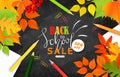 Back to school sale banner.Autumn leaves, pencils, paper clips and notebook sheets on the blackboard.Vector illustration for websi Royalty Free Stock Photo