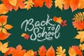 Back to School text drawing by white chalk on Green Chalkboard. Autumn leaves education vector illustration banner. Welcome Back Royalty Free Stock Photo