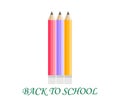 Back to school . Vector compocition with colorful school pensils and red sale teg in white background.