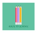 Back to school . Vector compocition with colorful school pensils and red sale teg in white background