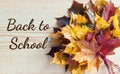 Back to school writing with maple leaf autumn bouquet Royalty Free Stock Photo