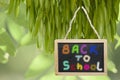 Back to school- written on black chalk board hanging from a tree. Royalty Free Stock Photo