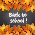 Back to school, written on blackboard with autumn leaves,