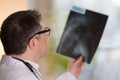 Doctor reading X-ray images Royalty Free Stock Photo