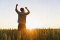 Back view of adult man farmer stand alone and look at sunset or sunrise in sky. Guy stand on wheat field. Ripe harvest Royalty Free Stock Photo