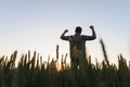 Back view of adult man farmer stand alone and look at sunset or sunrise in sky. Guy stand on wheat field. Ripe harvest Royalty Free Stock Photo