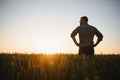 Back view of adult man farmer stand alone and look at sunset or sunrise in sky. Guy stand on wheat field. Ripe harvest Royalty Free Stock Photo