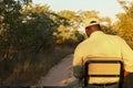 Back view of an African male driving a safari car