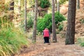Back view Alone Disabled aged female person with walker during her walk in the forest, park. Selective focus, copy space