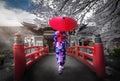 Back view of asia woman with kimono and Japanese umbrella against sakura flower background Royalty Free Stock Photo