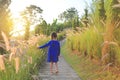 Back view Asian little kid girl using hand to touching wild grass at sunset Royalty Free Stock Photo