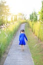 Back view Asian little kid girl walking on walkway between wild grass at sunset Royalty Free Stock Photo