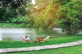 Back view of Asian woman with white hat sitting on garden chair near pond in garden. Summer vacation in green surroundings. Happy Royalty Free Stock Photo