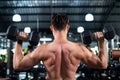 Back view of attractive portrait man lifting dumbbells with both hands in the sport fitness gym. Weight training muscles. Show Royalty Free Stock Photo