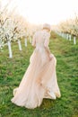 Back view of beautiful cute blond girl bride inelegant light pink dress, walking near the trees with blossom flowers in Royalty Free Stock Photo