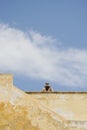 Back view of beautiful fat woman with hat on historic building terrace in Gallipoli. Apulia, Italy. Travel concept