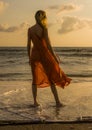 Back view of blond and glamorous blond woman posing at the beach wearing stylish and sensual dress looking at the sea in summer ho Royalty Free Stock Photo