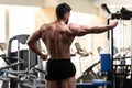 Back View Of A Body Builder Royalty Free Stock Photo