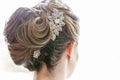 Bride hairstyle formal updo backview