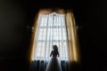 The back view of the bride standing near the castle window. Royalty Free Stock Photo