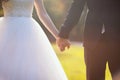 Back view of bride in white dress and groom in suit holding each others hands outdoors Happy bride and groom walking in nature on Royalty Free Stock Photo