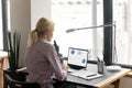 Back view businesswoman working with financial project statistics at laptop