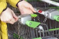 Back view closeup with a selective focus of a girl taking a shopping cart from a stand outside a supermarket Royalty Free Stock Photo