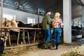 back view of couple of farmers walking in stable