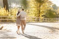 Back view of a couple lovers walking holds hands in the park at sunset. Love, youth, happiness concept. Lovely romantic Royalty Free Stock Photo