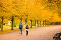 Back view of a couple walking on an avenue lined with trees in Regent`s Park of London Royalty Free Stock Photo