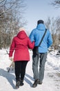 Back view of a couple walking in the snowy winter park with their dog. A man and a woman enjoy a frosty cold winter day walking Royalty Free Stock Photo