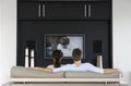Back view of couple watching wildlife movie on television in living room