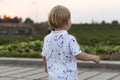 Back view on a cute little toddler boy in the park on the sunset on a summer day Royalty Free Stock Photo