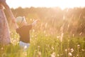 Back view on a cute little toddler boy in a straw hat holding his mother`s hand and pointing into distance. Adorable child walkin Royalty Free Stock Photo