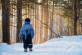 Back view on cute little toddler boy in warm snowsuit walking in the park on a winter day. Child outdoors in forest. Royalty Free Stock Photo