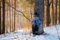 Back view on cute little toddler boy in warm snowsuit walking in the park on a winter day. Child outdoors in forest. Royalty Free Stock Photo