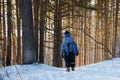 Back view on cute little toddler boy in warm snowsuit walking in the park on a winter day. Child outdoors in forest. Royalty Free Stock Photo