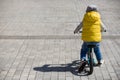 Back view on cute toddler boy riding his bike. Child on bicycle in the park